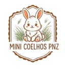 Mini Coelhos PNZ — Tutoria responsável de coelhos anões